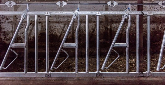 Front de Furajare la 3 Metri