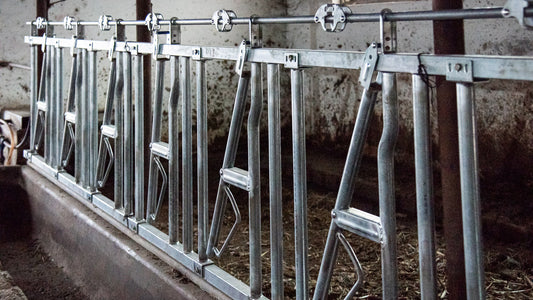 Front de Furajare la 6 Metri