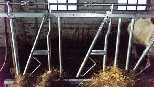 Front de Furajare la 3 Metri