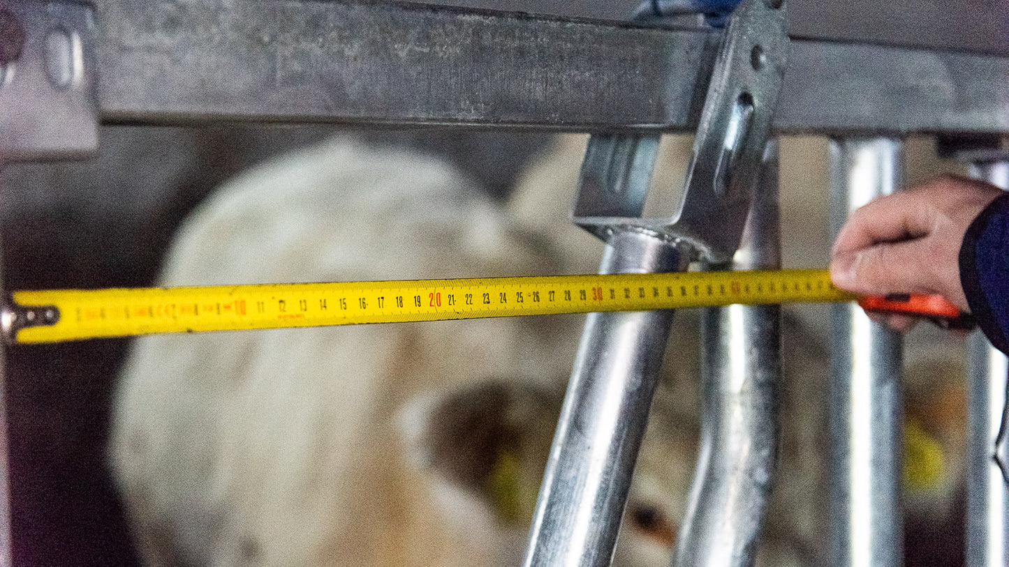 Front de Furajare la 6 Metri