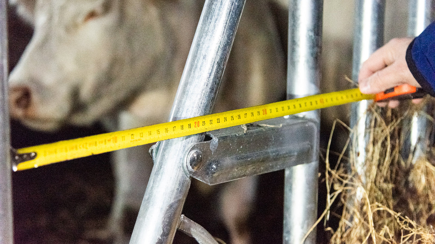 Front de Furajare la 6 Metri