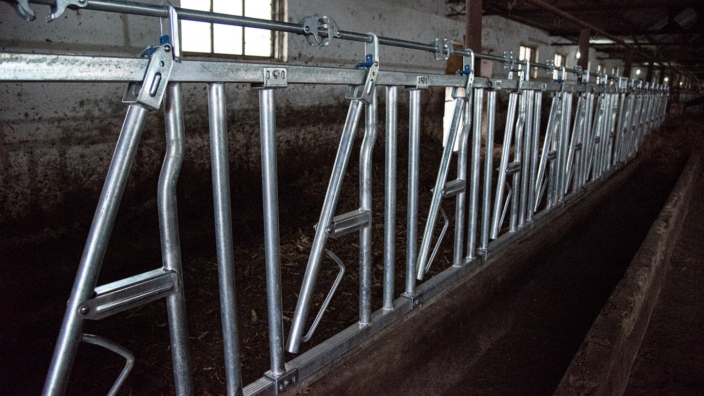 Front de Furajare la 6 Metri