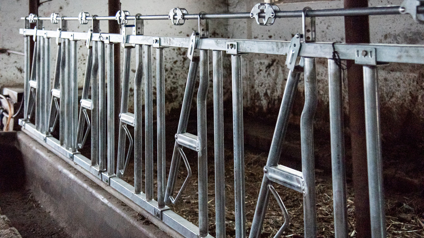 Front de Furajare la 6 Metri